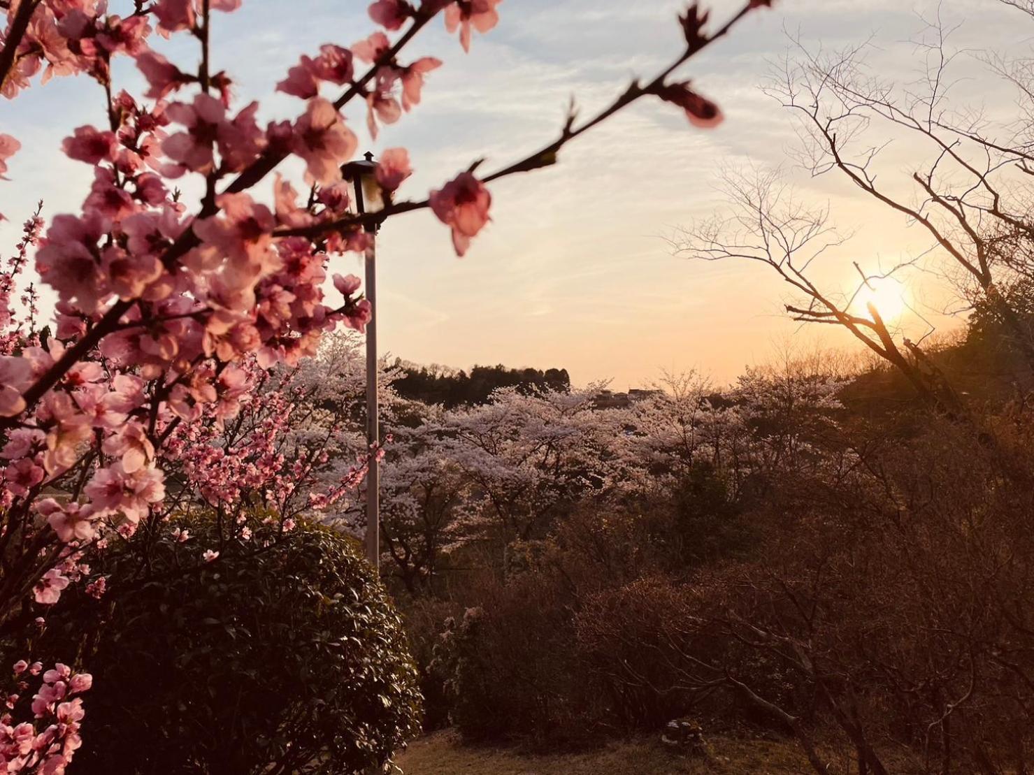 Granping ng が mi no Du Hotell Nakatsugawa Exteriör bild