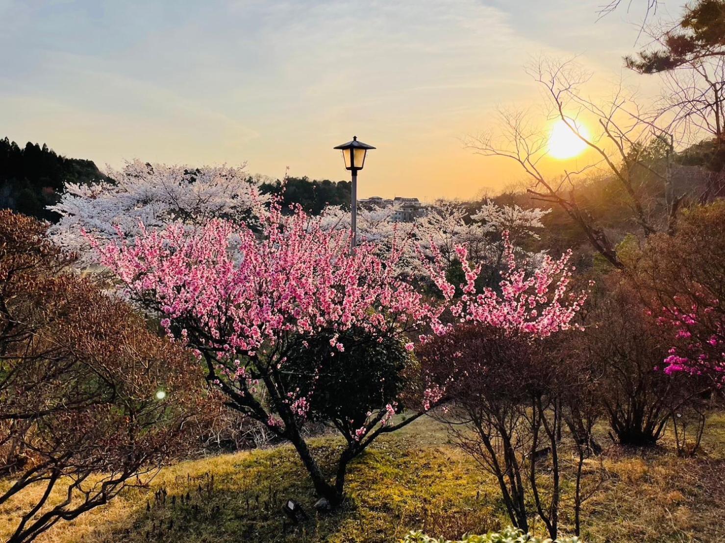 Granping ng が mi no Du Hotell Nakatsugawa Exteriör bild